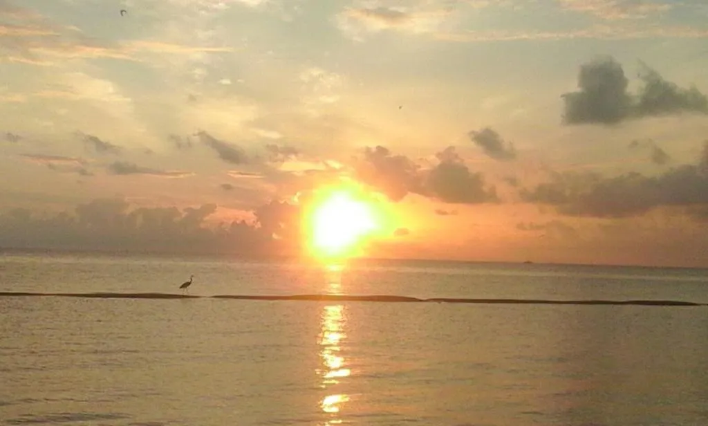 Casa Campestre Apartment Cancun